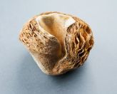 AM_25c_mala-forma-rzezbiarska-z-cyklu-Szelesty-13x14x95cm