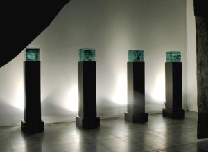 Wojciech Beszterda, wystawa fotografii w Galerii Test Warszawa 2016 rok