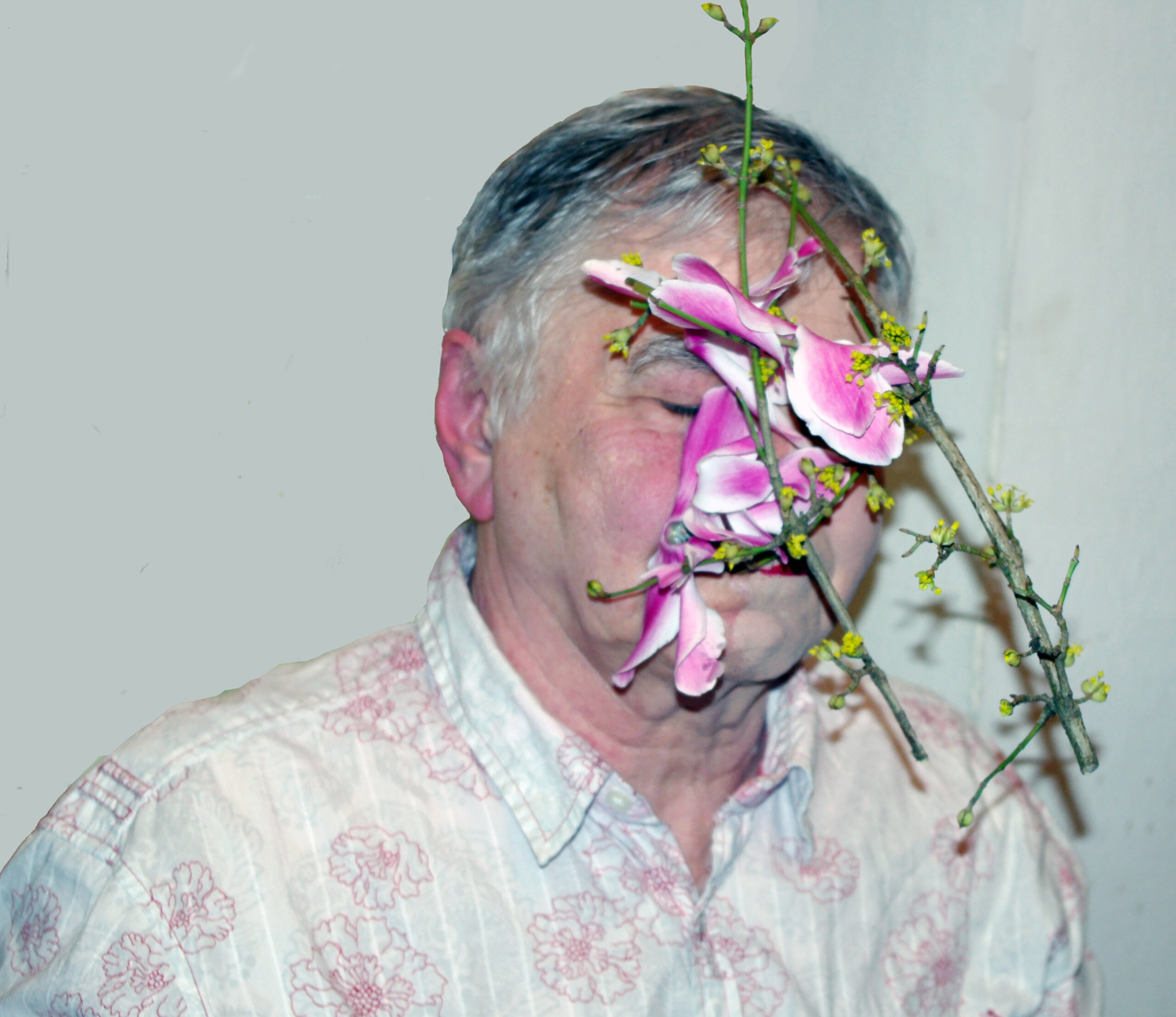 Portret artysty Jana Rylke. Mężczyzna o siwych włosach twaz ma zasłoniętą różowymi kwiatami.