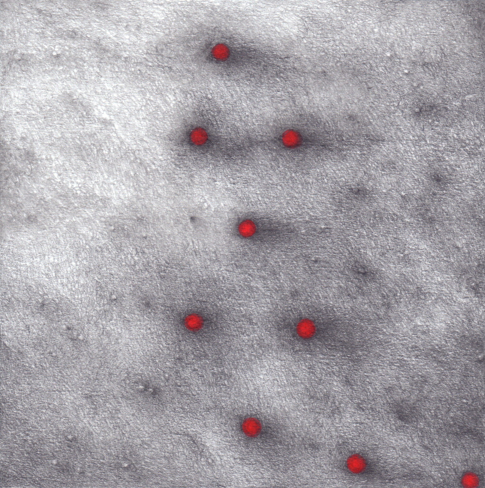Na szarym tle widać dziewięć kropek. Kropki są czerwone i otoczone ciemnym obramowaniem. Tlo jest ziarniste i ma różne odcienie szarości.